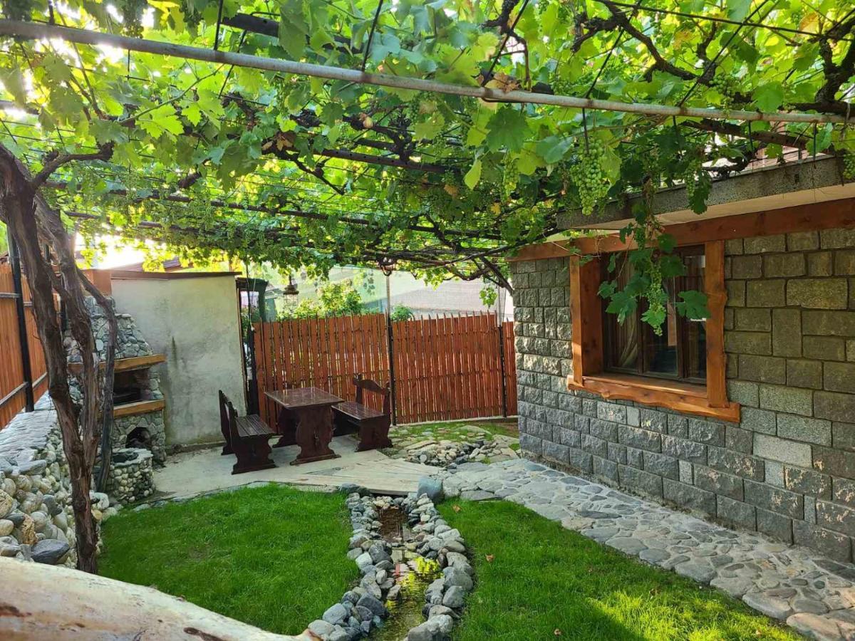 Вила 111 Sapareva Banya Exterior photo