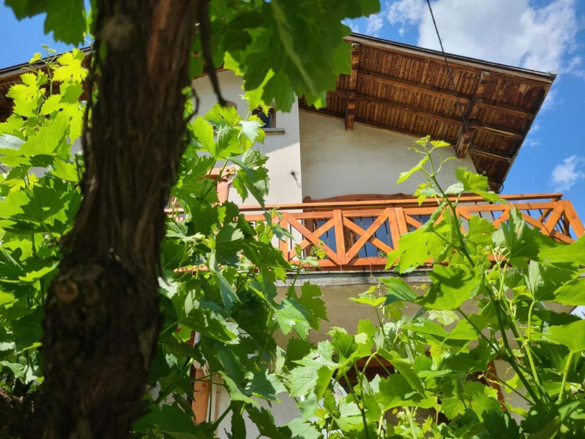 Вила 111 Sapareva Banya Exterior photo